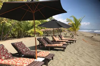 Gallery image of Dreamy Contentment in Matapalo