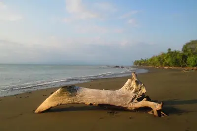 Gallery image of Dreamy Contentment in Matapalo