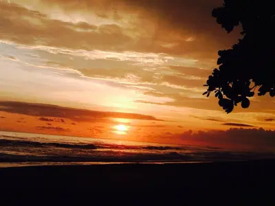 Gallery image of Dreamy Contentment in Matapalo