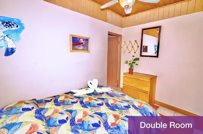 a bedroom with a bed with a double room at Blue Iguana in Sámara