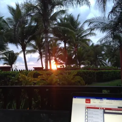 a laptop computer sitting in front of a group of palm trees at Bahia Azul 3A in Jacó