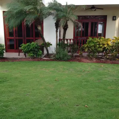 a house with a yard with green grass and palm trees at Bahia Azul 3A in Jacó