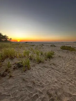 a sunset on a beach with plants in the sand at Casa Clancy in Tamarindo