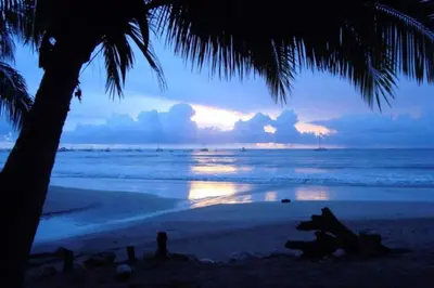 a beach with a palm tree and the ocean at Casa Clancy in Tamarindo