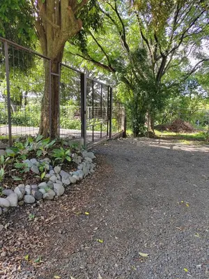 a gate in a park with a tree and rocks at Apartamento Agapanto, descanso, ocio o trabajo in La Asunción