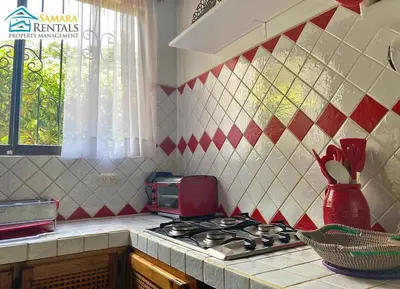a kitchen with a stove and a counter top at Cozy Apartment Downtown in Nicoya