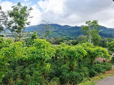 a bunch of trees with mountains in the background at Villa Kaza Proyecto in Santa María