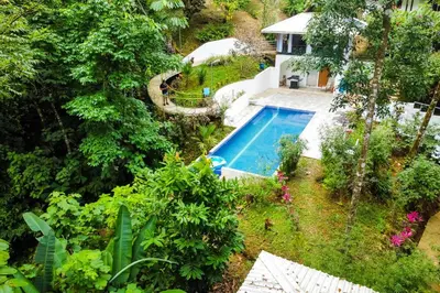 an overhead view of a swimming pool in a garden at Pools Bungalow at Toucan in Coronado
