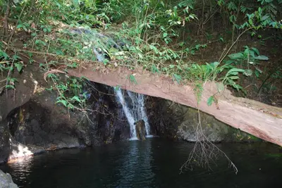 a bridge over a river with a waterfall at Pools Bungalow at Toucan in Coronado