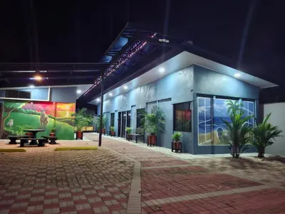 a building with paintings on the side of it at night at Deer Apartments Bahía Ballena in Uvita