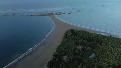 an aerial view of a beach next to the ocean at Deer Apartments Bahía Ballena in Uvita