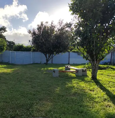 a yard with two trees and a fence at contenedor estudio in Tilarán