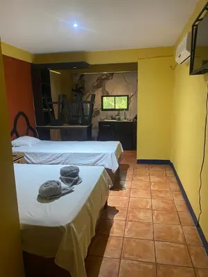 Gallery image of Hotel paso real in Coyolar