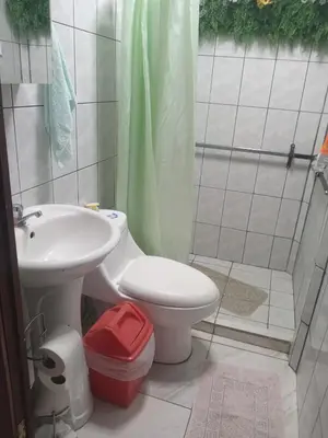 a bathroom with a toilet and a sink and a shower at La Casa de Tita in Orotina