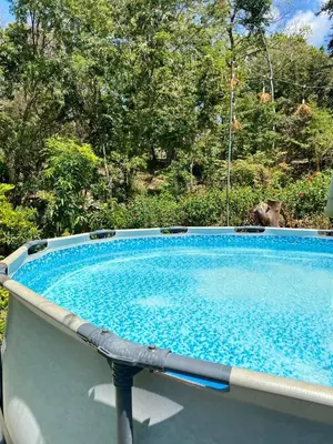 a large swimming pool in a yard with trees at La Casa de Tita in Orotina