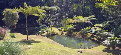 a pond in the middle of a garden at Olingo Monteverde - Studio Apartment with Jacuzzi in Monteverde Costa Rica