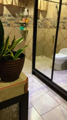a bathroom with a toilet and a potted plant at Green Shelter in Quepos
