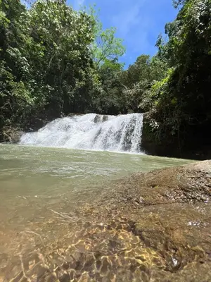 a waterfall in the middle of a river at La Ceiba Ecoadventures Wildlife Reserve in Platanillo