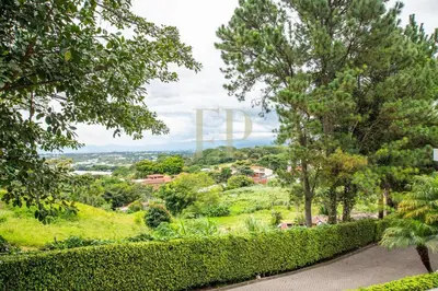a view of a park with trees and bushes at Escazu Guachipelin Peaceful Getaway, Pool, Wi-Fi & Work Space CR MARIPOSA RENTALS in San Rafael