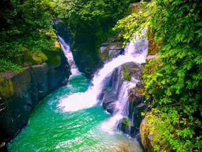 a waterfall in the middle of a river at La Ceiba Ecoadventures Refugio de vida silvestre in Platanillo