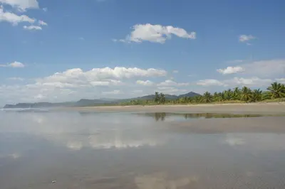 a view of a beach with trees and the water at Rancho RachMare in Playa Coyote, a Beach Home! in Nandayure