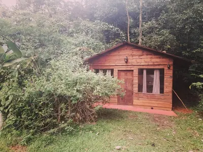 a small wooden cabin in the middle of a forest at Wildlife Reserve La Ceiba Ecoadventures in Platanillo