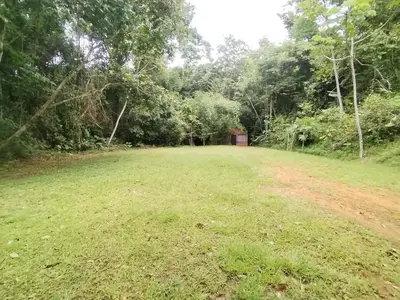 a large grass field with trees in the background at Wildlife Reserve La Ceiba Ecoadventures in Platanillo