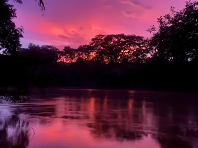 a sunset over a river with trees in the background at Cabaña Río San Carlos Ecolodge in Boca Tapada