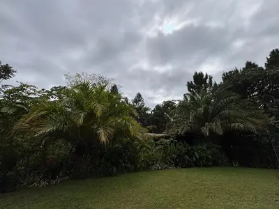 a park with palm trees and a grass field at Mountain Retreat Refugio de Aves in Turrialba