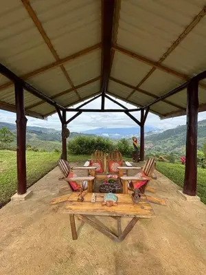 a picnic table and chairs under a roof with a view at Mountain Retreat Refugio de Aves in Turrialba