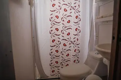 a bathroom with a shower curtain with a toilet at 5-minute walk downtown apartment in Fortuna