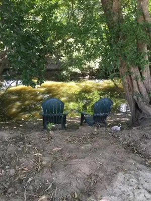 two blue benches sitting in front of a river at The House of Encantada in Liberia