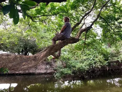 a person sitting on a tree branch next to a river at The House of Encantada in Liberia