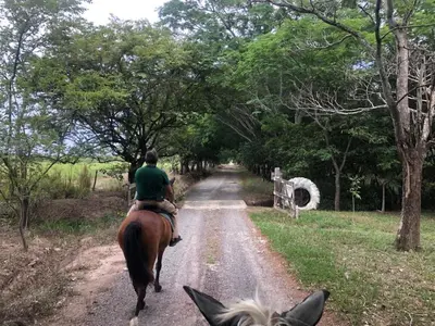 a man riding a horse down a dirt road at The House of Encantada in Liberia
