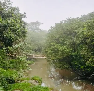 a river in the middle of a forest with trees at The House of Encantada in Liberia