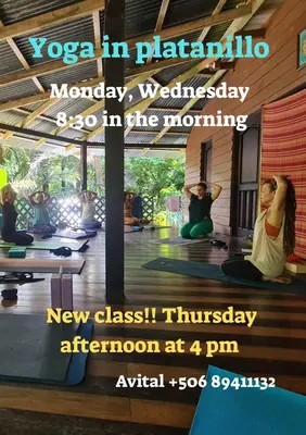 a flyer for a yoga class at at Casa Alma in Platanillo
