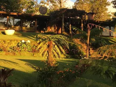 a garden with plants and flowers in a yard at Villa Calas in Vara Blanca