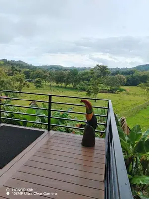 a vase sitting on a balcony with a view of a field at Hacienda las colinas in Mesas