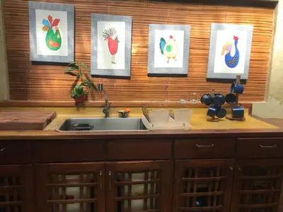 a kitchen counter with a sink and framed pictures of chickens at Casa Alma, Nature Escape with River, Trails and Views