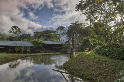 a bridge over a river in front of a building at Casa Alma, Nature Escape with River, Trails and Views