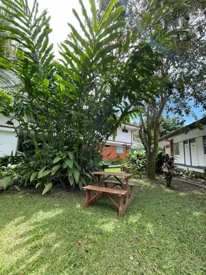 a wooden picnic table in the grass next to a tree at Hotel Geliwa in Turrialba