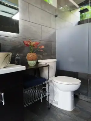a bathroom with a toilet and a sink at Osaglamping in Palmar Norte