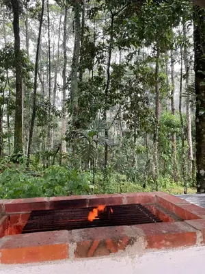 a fire pit in the middle of a forest at Villa Azul-Colibrí, Río Celeste in Rio Celeste