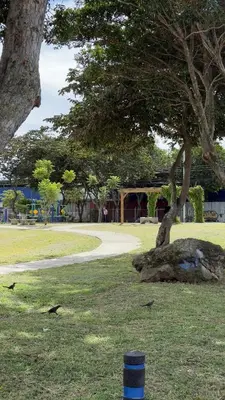 a tree and a rock in a park at Central and comfortable mini apartment in San Sebastian in San José