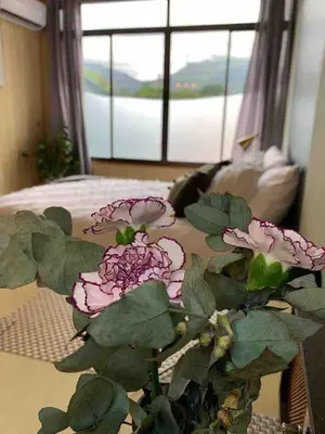 a plant with pink flowers in a room with a window at Lovely Loft with volcan view La Fortuna Downtown in Fortuna