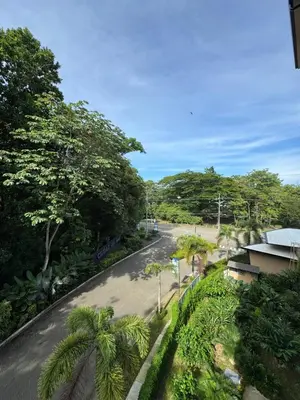 an empty road with palm trees on the side at Vistas del Bosque Jacó in Jacó