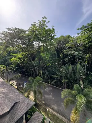 an overhead view of a garden with palm trees at Vistas del Bosque Jacó in Jacó