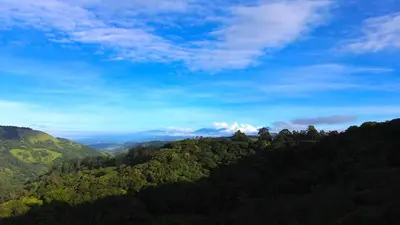a view of a mountain with trees and a blue sky at Monteverde Beaumont in La Cruz