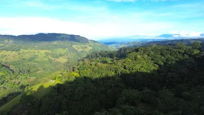 an aerial view of a lush green forested mountain at Monteverde Beaumont in La Cruz