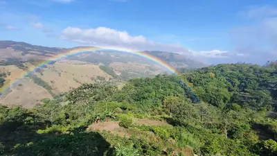 an overhead view of a rainbow over a forest at Monteverde Beaumont in La Cruz